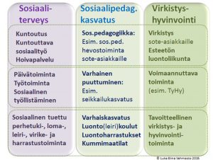 Elina Vehmaston kuvio Green Care -palvelumarkkinoista.